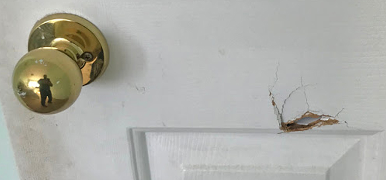 interior door hole repair Anderson
